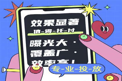 SEM代运营经典案例解析与启示